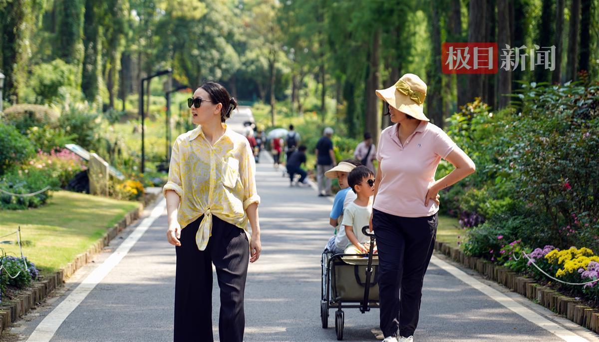 十大电子游艺